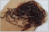 Picture of FEEDER: BLACK WORMS 1 LB