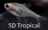 Picture of TETRA: X-RAY *ON SPECIAL*