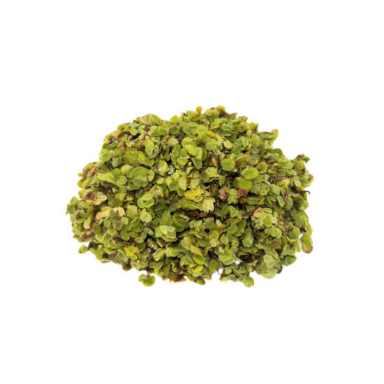 Picture of SURFACE VARIATES: BY POUND - SALVINIA MINIMA (NO. CANADA, LA, OH,OK, TX)