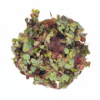 Picture of SURFACE VARIATES: BY POUND - RED ROOT FLOATER 1/4IB